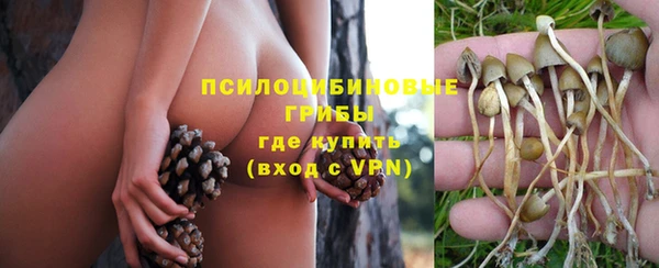 молекула духа Вязники