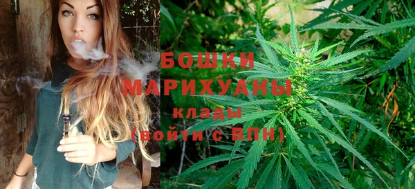 молекула духа Вязники