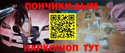 сатива Гай