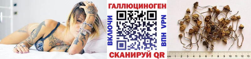 где купить наркоту Междуреченск Галлюциногенные грибы Cubensis
