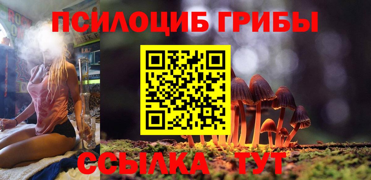 Междуреченск  Псилоцибиновые грибы прущие грибы  Псилоцибиновые грибы Psilocybe  Вход с VPN 
